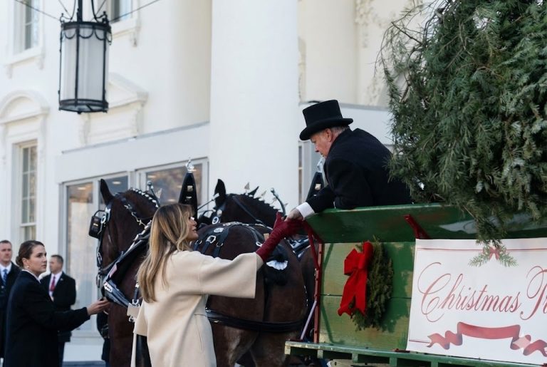 Melania Trump recibe el árbol oficial proveniente de Michigan