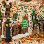 513638396_24039011872382820_7171119150226185348_n