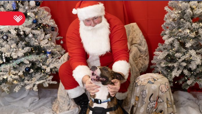 Cinco maneras de apoyar al equipo Charlotte en GivingTuesday