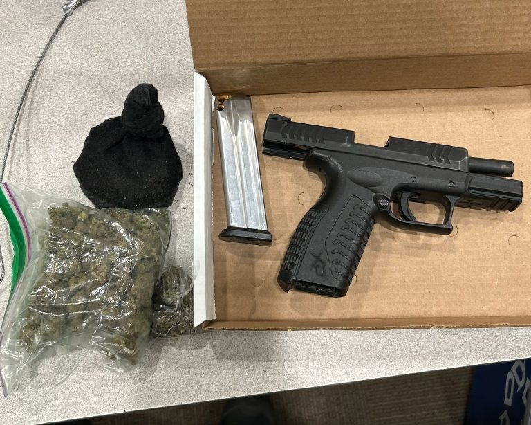 216 paradas de tráfico y 18 arrestos en el «Operativo Temporada Segura»