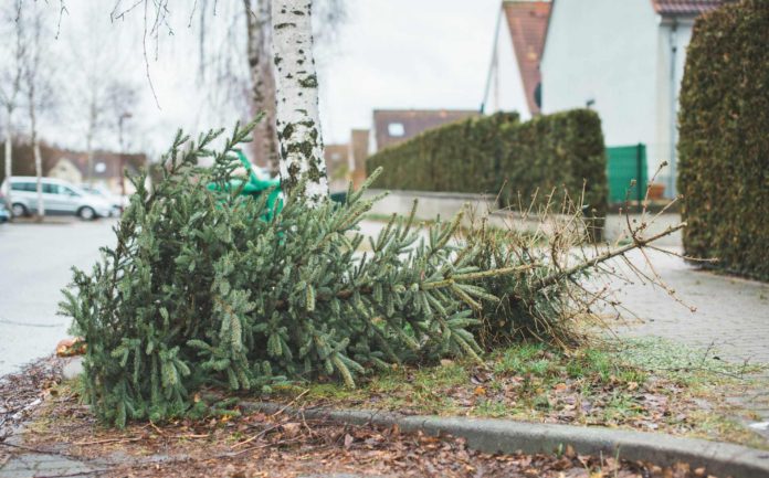 Consejos útiles y calendario de recolección de residuos en Charlotte