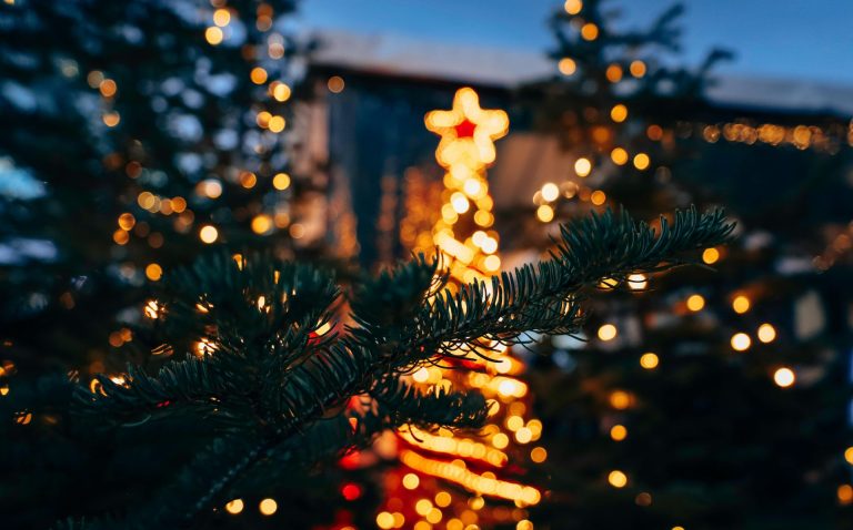 Opción Fin de Semana: Encendidos de árboles y actividades navideñas