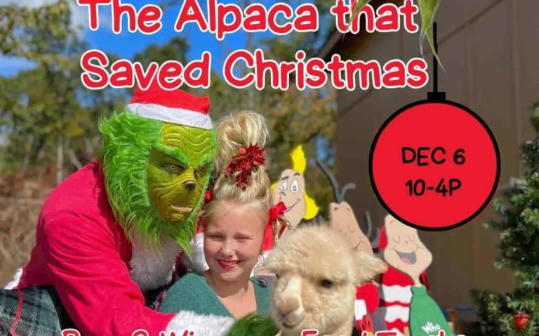 «La alpaca que salvó la Navidad» en Serenity at Stony Point