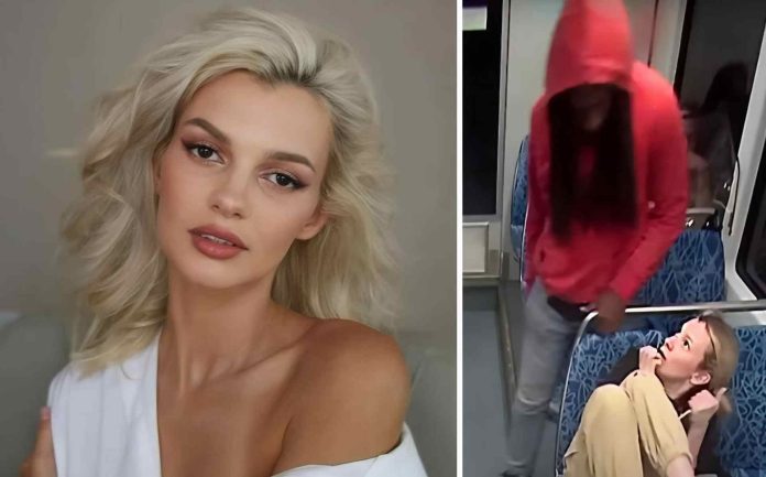 NC pone en marcha la “Ley Iryna” desde este 1 de diciembre