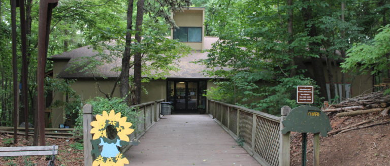 Opción Fin de Semana: País de las Maravillas Invernal en Centro Natural McDowell