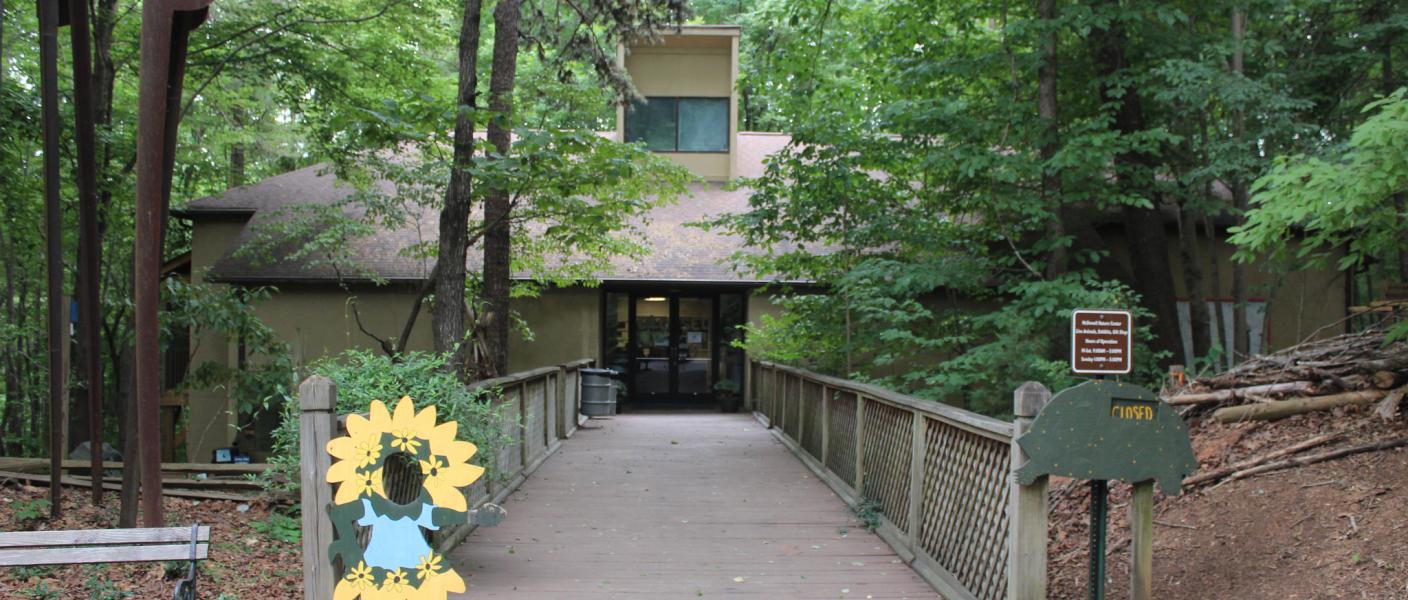 Opción Fin de Semana: País de las Maravillas Invernal en Centro Natural McDowell