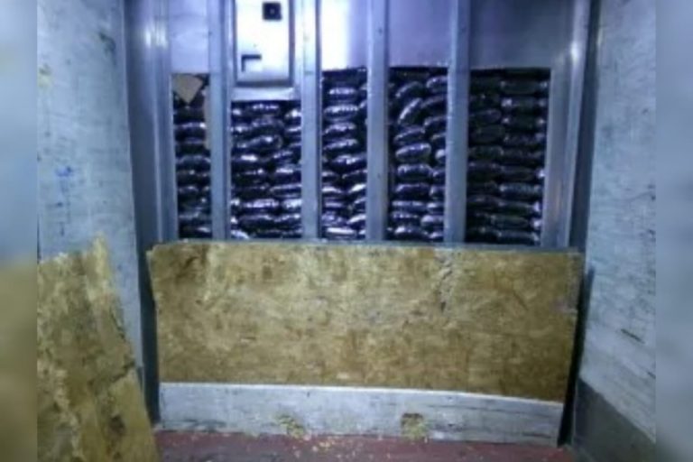 CBP San Diego intercepta $111 millones en drogas en la frontera