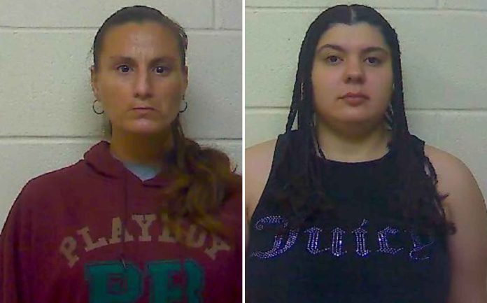 Delitos de drogas y crueldad animal abren el año policial en New Bern