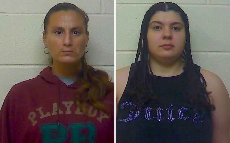 Delitos de drogas y crueldad animal abren el año policial en New Bern