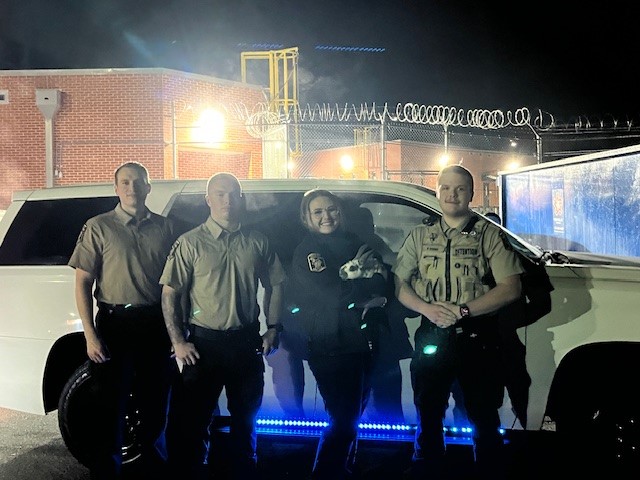 Oficiales recuperan conejo doméstico en centro de detención