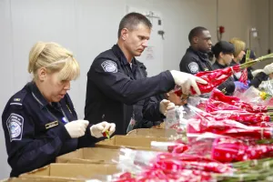 CBP se prepara para récord de inspección de flores por San Valentín