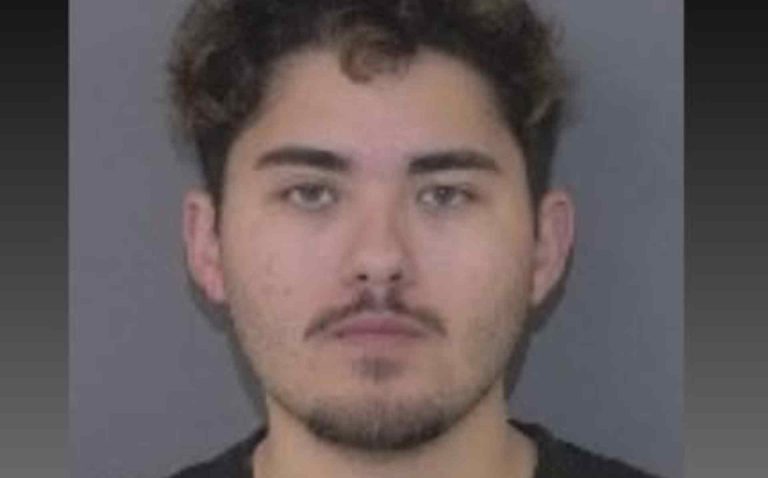 Alerta cibernética permite capturar a presunto depredador infantil colombiano