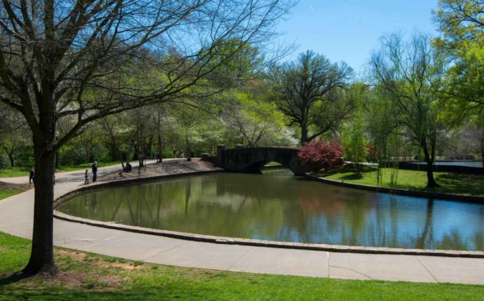 Parques y Recreación organiza talleres para la participación de la comunidad