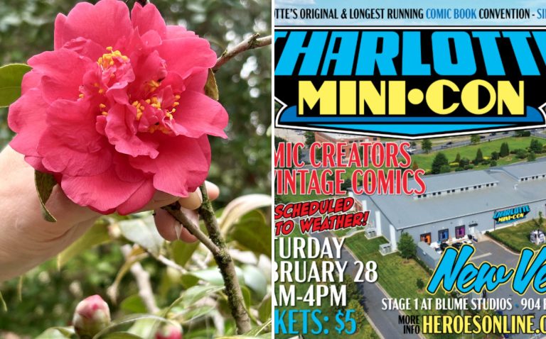 Opción Fin de Semana: Entre camellias y comics