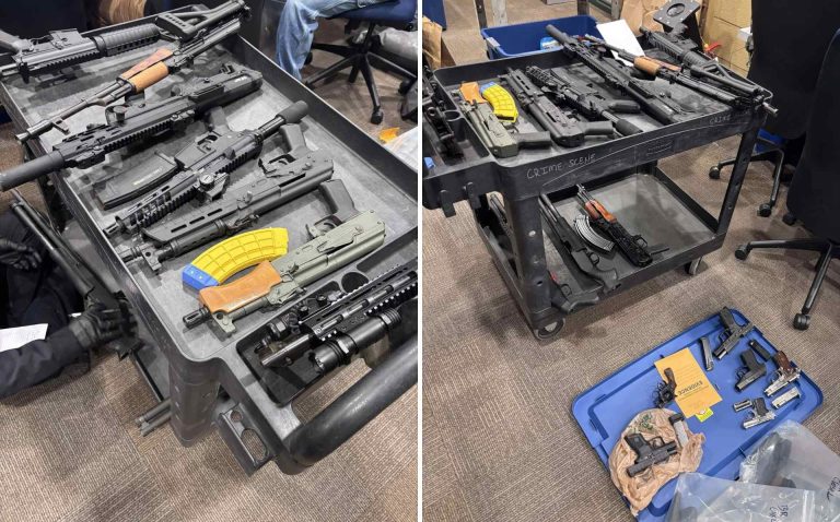 Operativo en Mecklenburg deja 18 armas y múltiples drogas incautadas