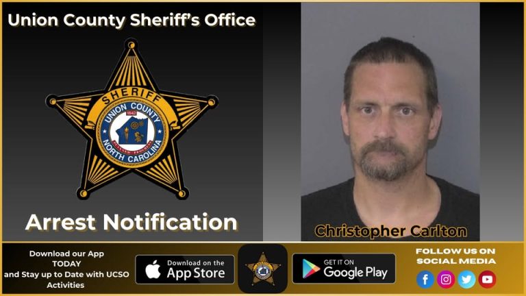 Vehículo robado y placa falsa terminan en arresto en autopista 74