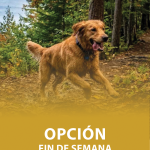 cover opcion fin de semana web mar 2026
