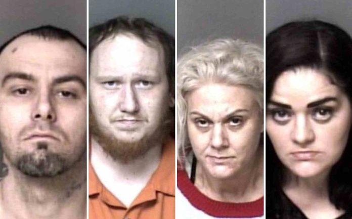 Incautan más de 1.000 municiones y cuatro armas en operativo antidrogas