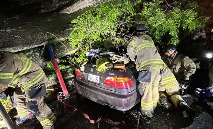 Caída de árbol deja un herido grave y daños en dos vehículos en Charlotte