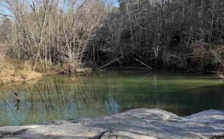 Niño de siete años muere por ahogamiento en un parque