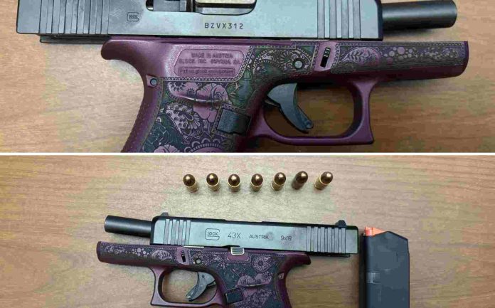 Recuerdan prohibición estricta de armas dentro del Palacio de Justicia de Mecklenburg