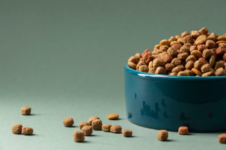 Retiran comida para perros Raaw Energy por letal bacteria