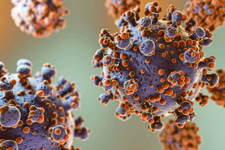 OMS reporto siete casos de hantavirus y tres fallecidos en el crucero