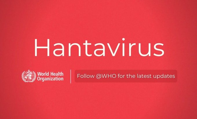 OMS: Zúrich bajo alerta por brote de Hantavirus en crucero