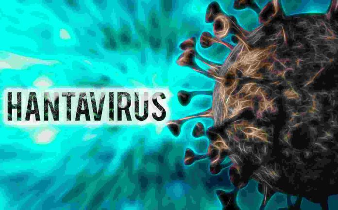 NC monitorea el hantavirus: No hay casos hasta ahora