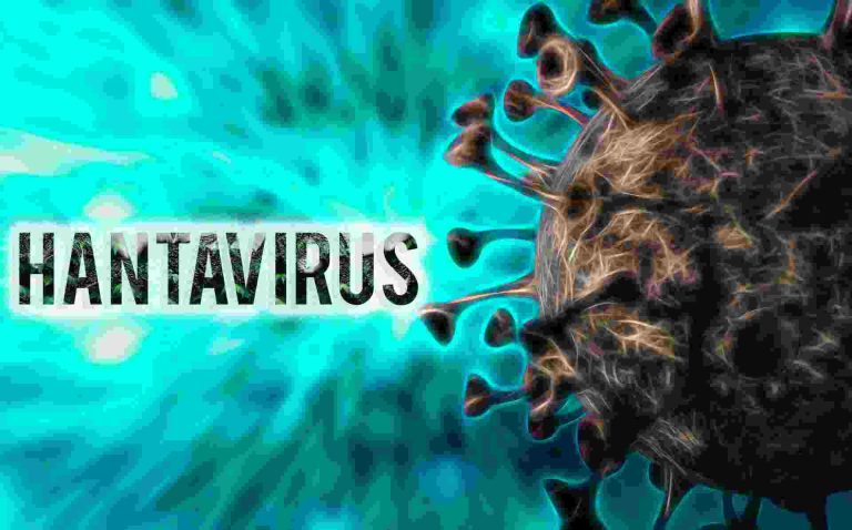NC monitorea el hantavirus: No hay casos hasta ahora