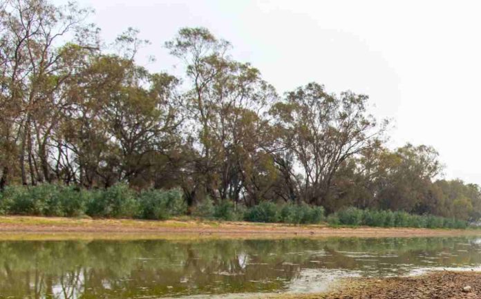 Ayuntamiento de Gastonia restringe el uso del agua por sequía en etapa 2