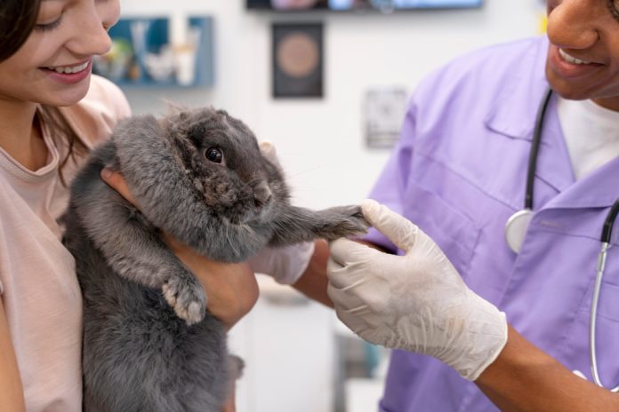 FDA propone reducir pruebas en animales para fármacos oncológicos