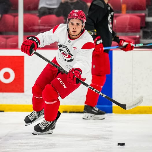 Cifras para recordar de la final de la Copa Stanley
