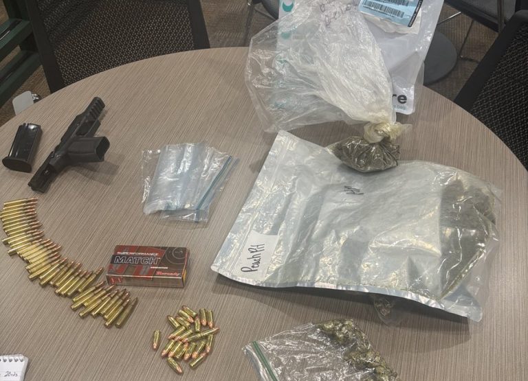 Incautan más de 50.000 dólares en productos de THC y marihuana en Charlotte