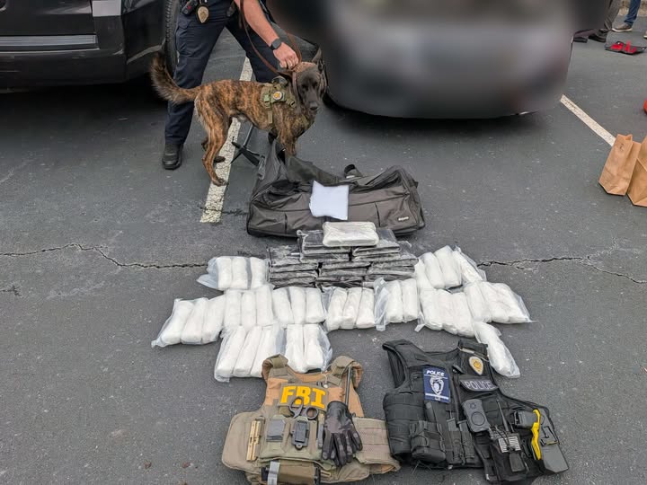 FBI y CMPD decomisan narcóticos en Charlotte