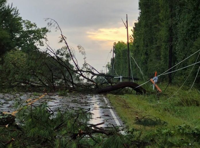 Tormenta provoca cierres de carreteras y deja árboles y líneas eléctricas caídas