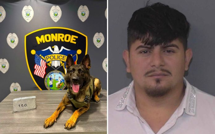 Detienen a un hombre con cocaína durante una parada de tráfico