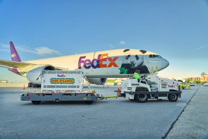Llegan a Atlanta los pandas gigantes Ping Ping y Fu Shuang