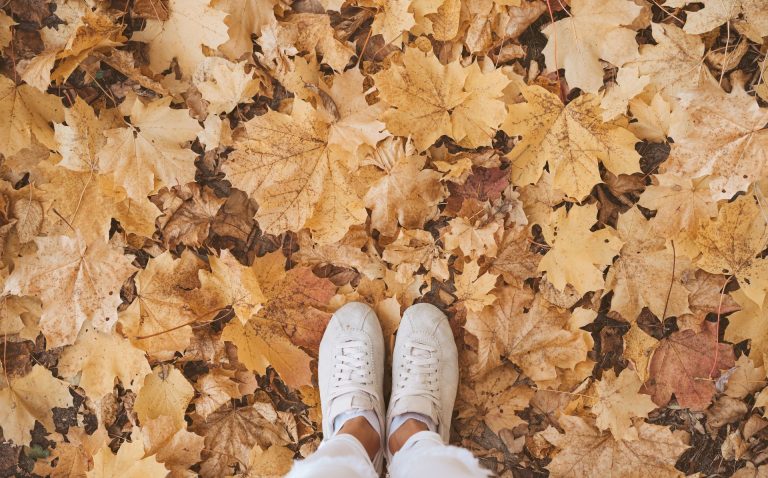 Opción Fin de Semana: Festivales de arte en Otoño