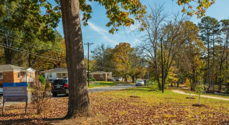 En el Mes del Árbol, TreesCharlotte convoca a voluntarios para plantar especies