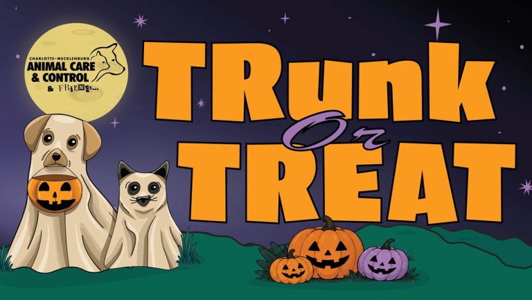 Diversión de Halloween gratuita y para toda la familia